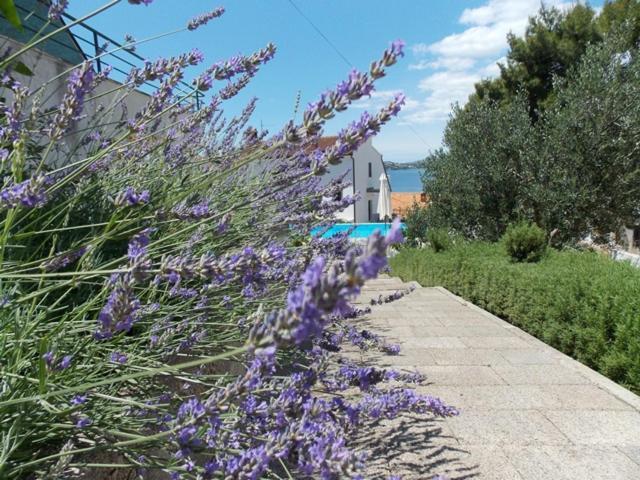 Apartments Villa Goja トロギール 部屋 写真